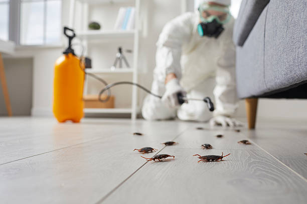 Commercial Kitchen Cockroach Control in Shorewood